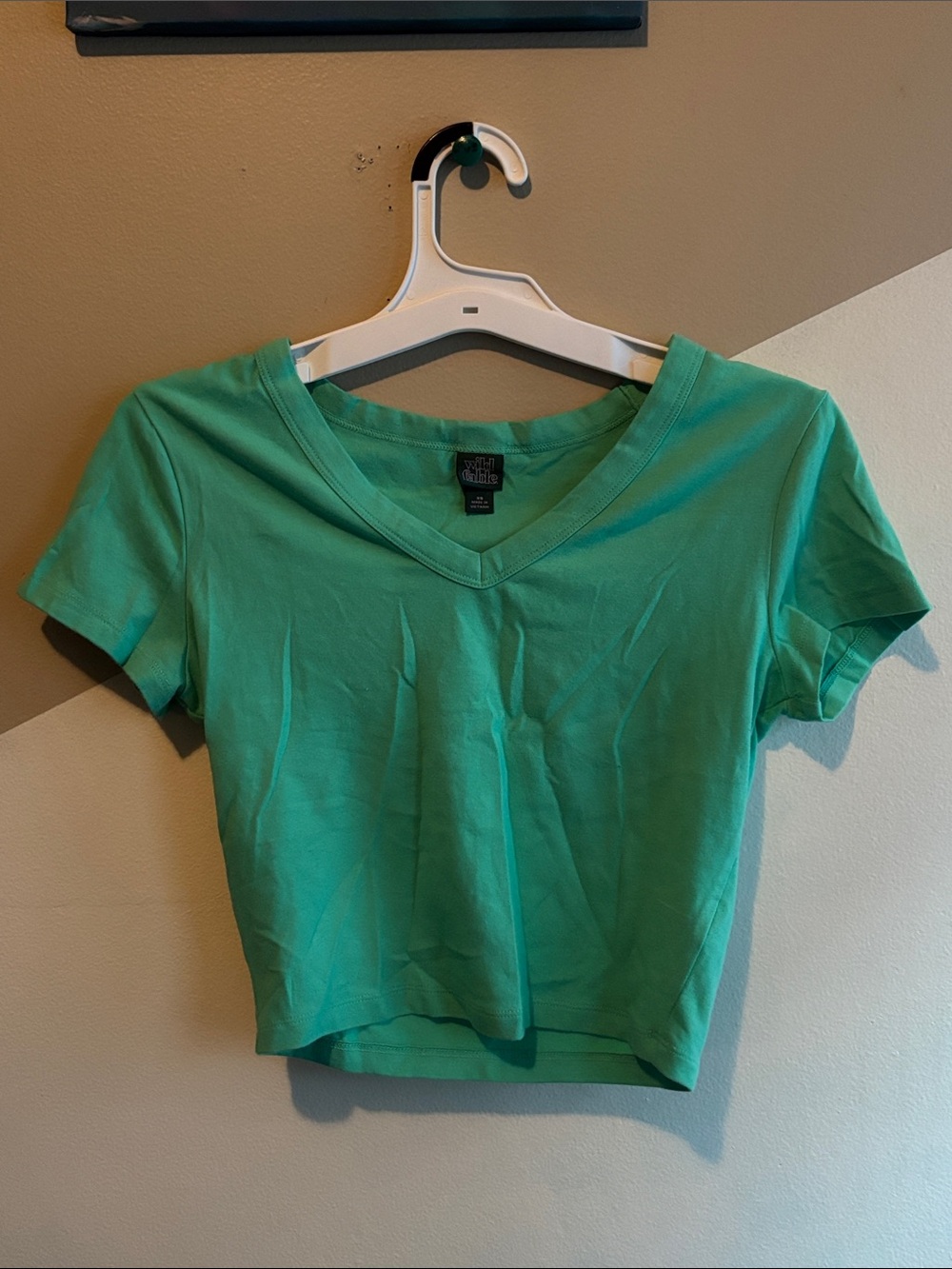 wild fable Teal Green V-Neck Crop Top